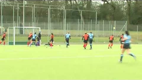 Subjective judgement