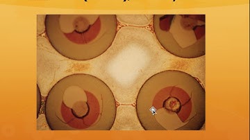 MSE 5033 Composite Materials Lecture 6a