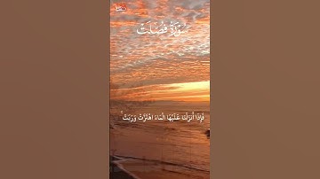 سورة فصلت #القرآن_الكريم #علاء #علاء_عقل علا