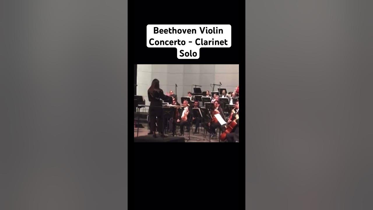 Beethoven Violin Concerto | Clarinet Solo #clarinet #solo #viralshorts Beethoven Violin Concerto | Clarinet Solo #clarinet #solo #viralshorts