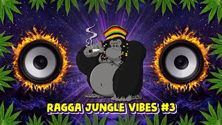 Ragga Jungle Drum & Bass Vibes #3 (Reggae DnB Mix)