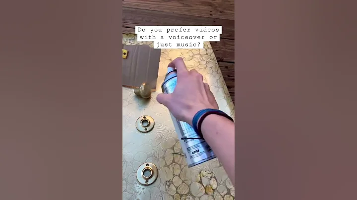 I SPRAY PAINTED EVERYTHING🏅😅updating door handles on a BUDGET #diy #spray #paint #shortsfeed #gold