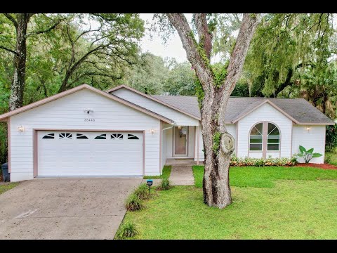 35448 Bill Dr, Zephyrhills, FL home video tour