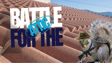 Battle For The Attic: Squirrels Breaking In Through Roofs!