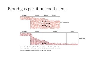 Pharmacokinetics series #8 - inhalational anaesthetic kinetics