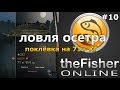 theFisher Online ЛОВЛЯ ОСЕТРА Поклёвка и рекорд на 71+ кг [Не Гайд]