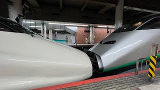 【ミニプチ動画#128】E2系200系カラーJ66編成+E3系L65編成銀つば 上野駅発車シーン