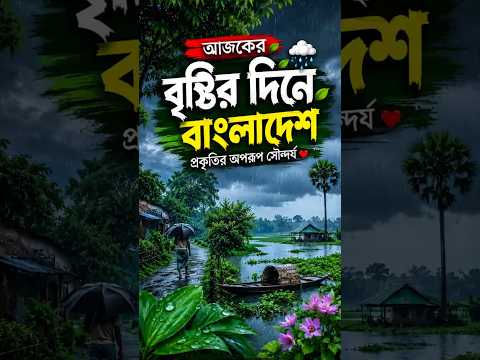 Tumi Bristi Cheyecho Bole | ( তুমি বৃষ্টি চেয়েছো বলে ) | শ্রাবনের ভেজা ভেজা দিন #shortsfeed #viral