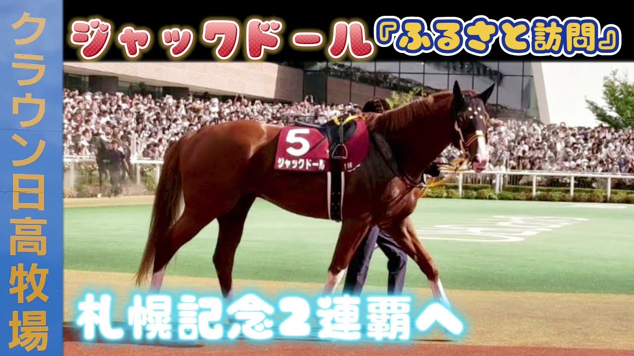 大阪杯優勝 G1馬ジャックドール『ふるさと訪問』札幌記念2連覇へ - YouTube