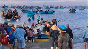Ngư Dân Tập Trung Về Cảng Cá La Gàn Thiên Đường Hải Sản Tươi Sống / Hơn85