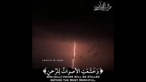 وخشعت الأصوات للرحمن تلاوة خاشعة مقاطع قرآن قصيرة #تلاوة_خاشعة #تلاوة #قرآن} [مقاطع فيديو قصير وتس]