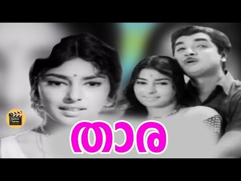 THARA  1970 Malayalam Classic movie  Ft  Sathyan  Premnazir  KPUmmer  Sharadha 