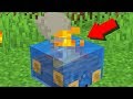 15 WEIRDEST Glitches STILL in Minecraft 1.14