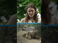 В Рижском зоопарке время малышей