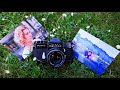 Analog Video📷: Asahi Pentax Spotmatic II Beispielbilder und Funktion