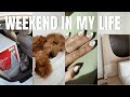 VLOG: Christmas decor shopping, New nails, Apartment updates, Brunch w/ Dylan & more!