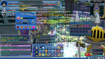 DMO Easter Rabbit Boxes 2016