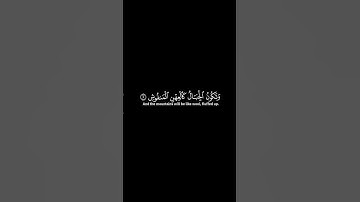 سورة القارعة [1-7] | محمود خليل الحصري