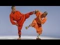 Shaolin Kung Fu fighting: 18 techniques