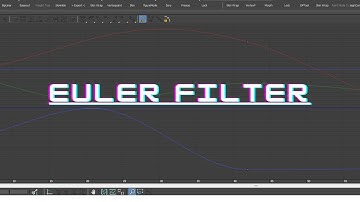 Euler Filter in 3ds max - Quick Tips
