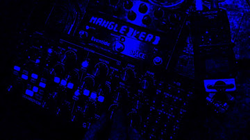 Moog Subharmonicon + Eventide Space = Man Feelings