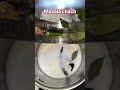 mera koi bharosa nhi🤣 #ytviral #funny #recipe #food #cooking #foodie #easyrecipe #gujaraticooking