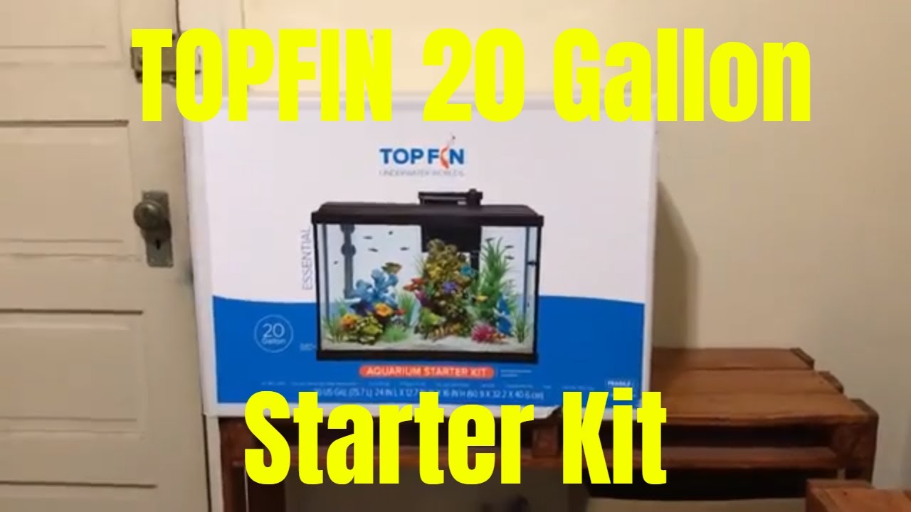 Top Fin 20 Gallon Starter kit, bought cheap from PetSmart for new guppy