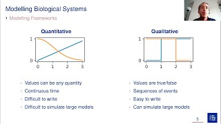 Introduction to modelling of biological systems and to MaBoSS