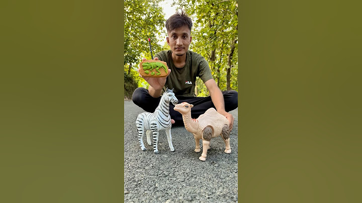 Remote Control Two Horse & Camel 🐪 testing