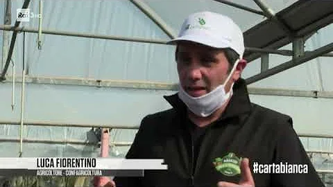 Cosa produce l'agricoltura in Italia?