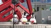 下関ご当地アイドル 10color S ベイサイドお魚大作戦15 九州 福岡 山口 Youtube