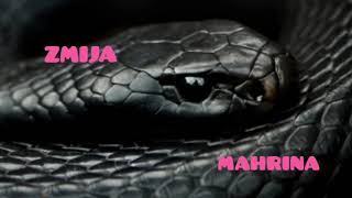 Mahrina-Zmija