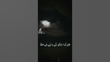 #القرآن_الكريم #اسلام_صبحي #حالات_واتس #تلاوة_خاشعة #ارح_سمعك #محمد_رسول الله