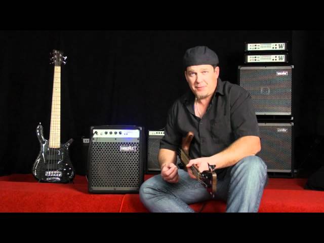 The Warwick BC20 - YouTube