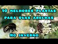 10 melhores plantas para as abelhas