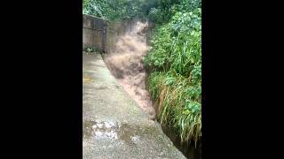 Lo Que Deja Un Aguacero 2