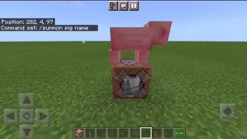 How to summon a mob with a name (Easy)