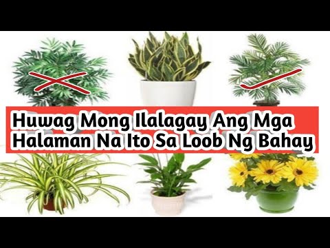 Video: FunderMax Sa Mga Pribadong Bahay: Para Sa Loob At Harapan