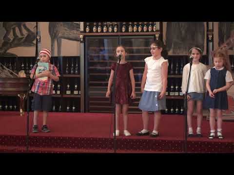 დაწყებითი კლასების შემაჯამებელი ღონისძიება. 2017-2018 ს.წ.