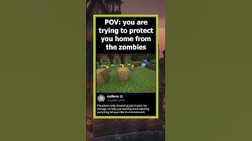 POV: you are trying to protect you home from the zombies