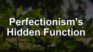 Perfectionism's Hidden Function
