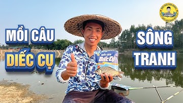 Câu Cá Diếc Cụ ở Sông Tranh - Vĩnh Phúc