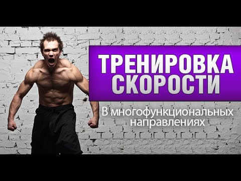 Тренировка скорости ударов и движений - полное руководство