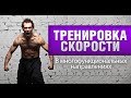 Тренировка скорости ударов и движений - полное руководство