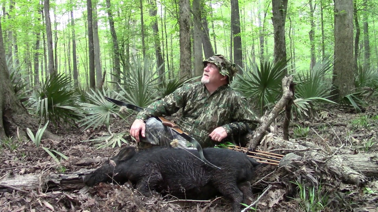 Traditional bowhunt for public land hogs on the ground 