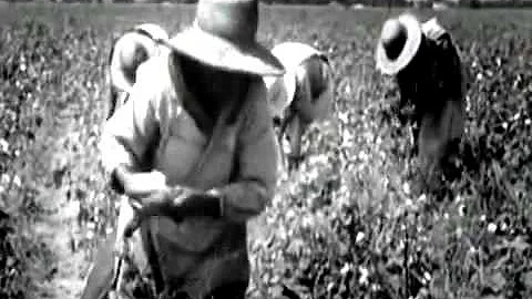 Thomas Marshall- Arwhoolie (Cornfield Holler)