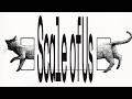 私たちの距離 ── Scale of Us / nyanyannya(大天才P)feat.初音ミク