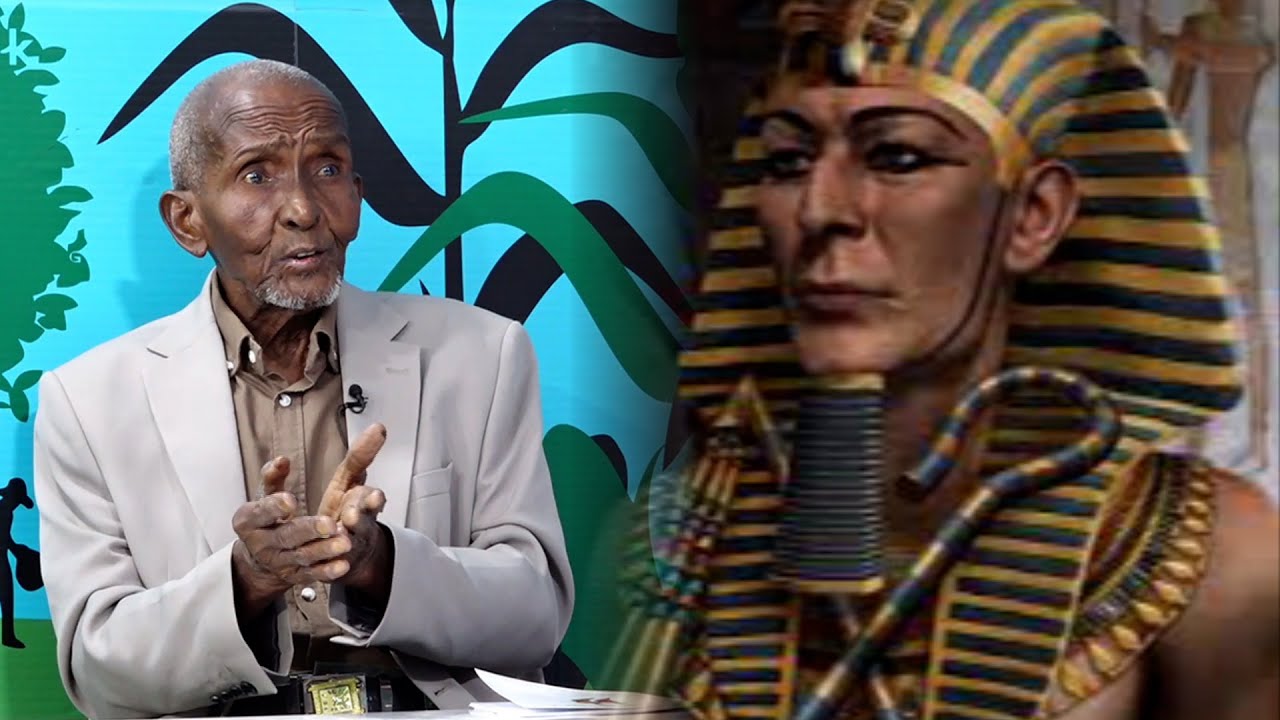 Fircoon ma Soomaali ayuu ahaa,maxayse Taariikhyahanadu ka qoreen raadadkii faraaciinta?