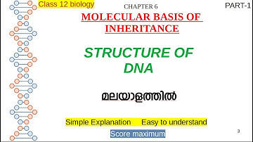 DNA structure| Explanation in malayalam | class 12 | Zoology | molecular basis of inheritance|Part 1