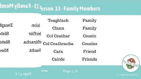 Describe Family Members in Irish - As Gaeilge - My First Focail Online Irish Language Learning